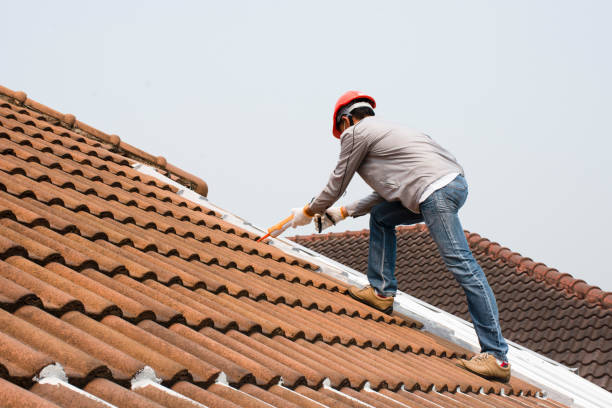 Best Rubber Roofing (EPDM, TPO)  in Woodward, IA