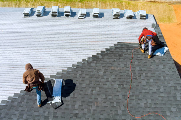 Best Roof Inspection  in Woodward, IA