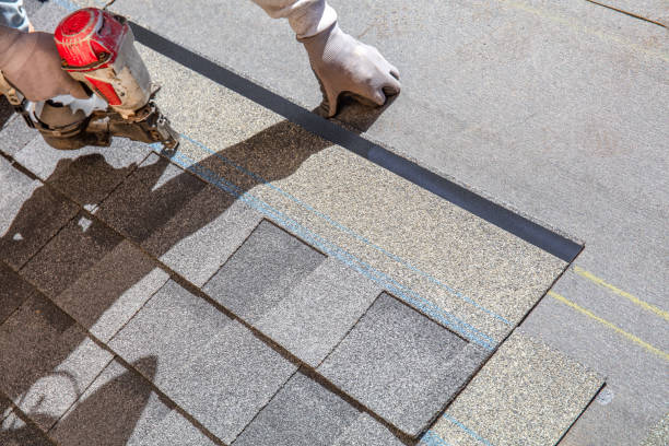 Best Sheet Metal Roofing  in Woodward, IA